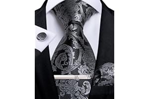 DiBanGu Men's Silk Woven Necktie Paisley Floral Tie Set with Pocket Square Cufflinks Tie Clip for Wedding Business