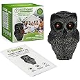 ISOTRONIC Fake Owl Bird Deterrent Figure with Luminous Eyes, Realistic Simulated Screeching, Scarecrow, Bird Repellent, Pigeon Scarer, Starling Scarer (Pack of 1)