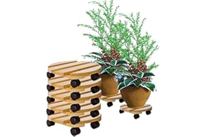 BigDean 5x Pflanzenroller rund Buchenholz massives Holz 30 cm bis 120 Kg Rolluntersetzer