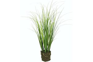‎FLAIR FLOWER Künstlicher Grasbusch im Erdtopf Kunstblume Busch Kunstpflanze Dekogras Kunstgras Pflanze Ziergras Gras Grasbüschel Deko Gräser Frühjahrsdekoration Grünpflanze Dekopflanze Zimmerpflanze, 45x15x15cm