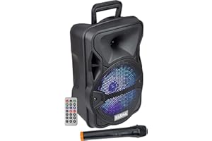 Karma Cassa Audio AMPLIFICATO PSB 8 300 Watt con RADIOMICROFONO