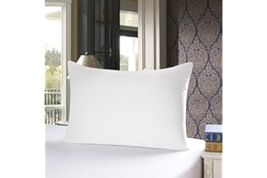 TOWNSSILK - Funda de Almohada 100% de Seda de Morera, cuida el Cabello y la Piel, Ambos Lados de Seda de 19 Momme, 1 Unidad,Naturalwhite， 40 x 60 cm