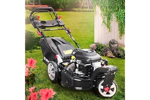 BRAST tondeuse thermique 3 roues TRIKE SPEED 224cc 53cm autotractée vitesse d'entraînement triple réglable mulching 4en1 capot en tôle en acier 60l - tondeuse tractée moteur 4 temps reglable