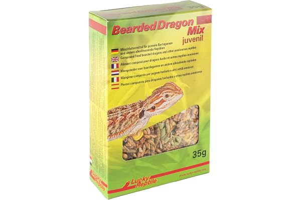 Lucky Reptile HD-02 Barbu Dragon Mix Juv 35 g