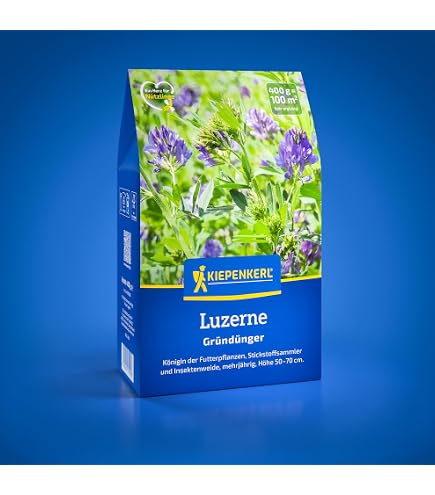 MRS Rotklee-Samen 5 Kilo  Trifolium pratense  Reine Kleesamen   Grndngung  Natrlicher Stickstoffbinder  Wichtiges Futtermittel :  Amazon.de: Garten
