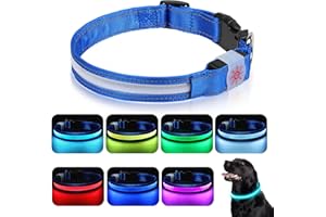 Petbank Light Up Dog Collar - USB Rechargeable LED Dog Light Up Collar Waterproof with High Visibility, 7 RGB Colors & 5 Light Modes Glow in the Dark - Flashing Dog Collar for Small Medium Large Dogs