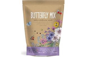 SEEDBALL Butterfly Mix Seed Bombs – 100 Seed Balls Per Pack | British Wildflower Seeds | Clay Protected Seed Bomb for Butterflies – Collection of Purple, Pink & Blue Flowers for Attraction
