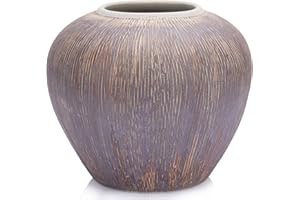 QIANLING Vase rustique en céramique pour décoration d'intérieur, vase en terre cuite vieilli (Rustic09)