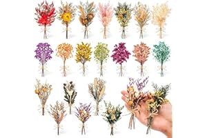 LZMDISU 20 Pcs Mini Dried Flowers for Crafts Bulk, Dried Flowers with Stems for Crafts, Wildflower Party Decor for DIY Photo Props Present