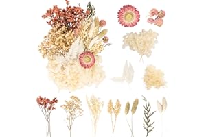 LAUMOE Trockenblumen, Getrocknete Blumen, Trockenblumen zum Basteln, Trockenblumen Weiß Trockenblumen Deko Mehrblütige Version für Kunst Basteln Dekoration (Weiß 1)