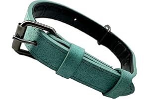 OUFUSILK Collari per Cani, di Pelle Regolabile con Perforatore 4 Taglie con anello a D, Collare per Cani di Taglia Piccola, Media e Grande-verde,M