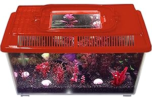 INNOVA BRANDS Innova Plastic Transparent Red 2.3L Terrarium Box, Container Aquarium Tank