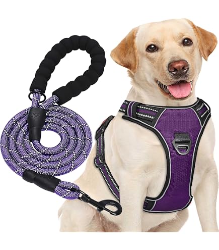 Pettorina Antistrappo Personalizzata Con Nome E Telefono – Set Con Guinzaglio, Regolabile E Riflettente Per Cani Di Tutte Le Taglie