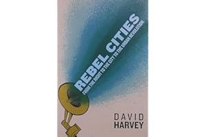 Rebel Cities: From the Right to the City to the Urban Revolution