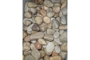 TODOSTONES Piedra Rio Colores Cantidad: 5 Kg