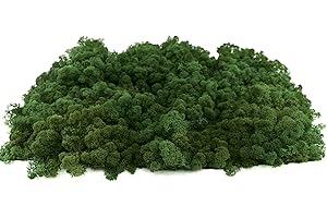 INMO Moos - Islandmoos echtes Natur Moos konserviert 1 KG Laubgrün. Dekomoos zum Basteln, Moosbild, Wand-Bilder, Wanddeko, Modellbau weitere Farben und Mengen zur Auswahl 40g - 500g 1 KG - 4 KG