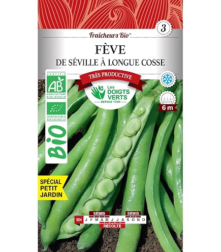 Graines De Fève 'Aguadulce à Très Longue Cosse' Vilmorin - Variété Précoce, Longues Cosses Avec 8-9 Grains
