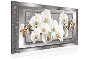 Runa Art Cuadro Decorativo Flores Orquídea 1 Parte Moderno Cuadro Lienzo no Tejido para Sala Abstracto Gris Beige 205412b