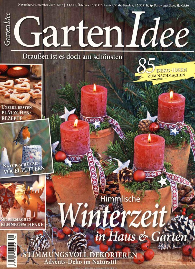 Gartenidee Jahresabo Amazon De Zeitschriften