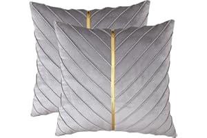 Tosleo Szare aksamitne poszewki na poduszki 45 x 45 cm, zestaw 2 szt., ze złotą skórą, dekoracyjne poszewki na poduszki na kanapę, luksusowe nowoczesne poszewki na poduszki do salonu, sypialni, na