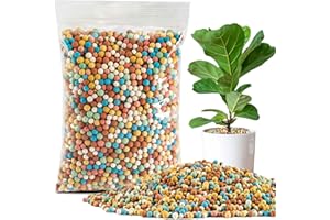 Sukh Clay Pebbles for Plants - 15OZ Small Pebbles for Indoor Plants Natural Clay Used for Drainage Decoration Aquaponics Hydroponics and Other Gardening Leca for Plants 6-8mm (Mixed Colors)