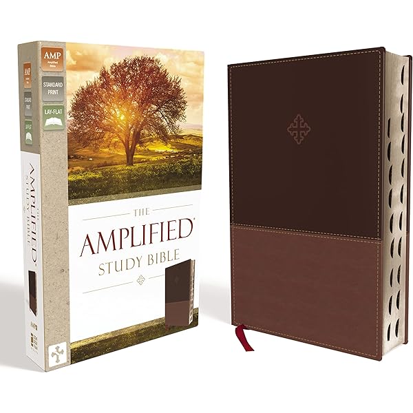 Amplified Holy Bible, XL Edition, Leathersoft, Burgundy By