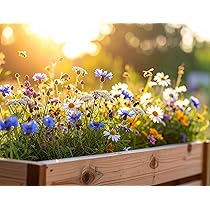 Balkonblumen Mischung 14 Arten - Insektenfreundliche Samen Für Balkonkästen & Hochbeete