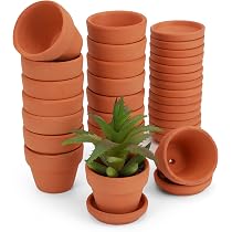 YISHANG 36 Mini Vasi In Terracotta Da 4,8 Cm: Piccole Fioriere Con Foro Di Drenaggio Per Cactus, Piante Grasse E Bomboniere
