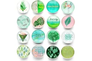 Cosylove 16 Stück Kühlschrankmagnete mit englischen Sprüchen Kristallglas für Büroschränke Bilder Bilder Schöne dekorative Magnete (Grüne Pflanze)