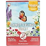 Blumenmischung samen