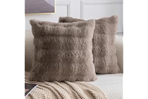 MADIZZ Set med 2 tjocka kuddfodral i plysch ull Mjukt dekorativt kuddfodral för soffa sovrum Kuddskal 60 x 60 cm Taupe