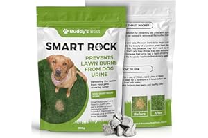 Buddy's Best 200g Smart Rocks: Natural Pet Water Enhancer & Lawn Saver, Mineral-Based Solution for Dogs, Reduces Nitrates & Ammonia, Supports Hydration & Healthy Green Grass