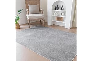 Evitany Modern Grey Rugs for Living Room Washable Short Pile Carpet Anti-Slip Rug Soft Area Rugs for Living Room Bedroom(Grey,120x160 cm)