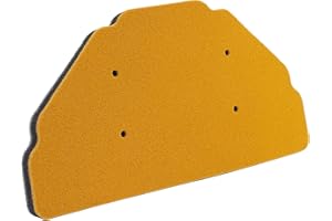 AHL 416809/12-92680/11013-1274 Moto Filtro Aria compatibile con KAWASAKI ZX636A / ZX6R ZX-6R 2002-2002 / ZX600 G/J ZX6R ZX-6R 1998-2002 / ZX600J / ZZR600 2005-2008