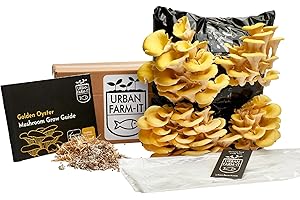 URBAN FARM-IT Urban Farm It - Mushroom Growing Kit, XL Gold (Pleurotus Citrinopileatus), Easy to Use and Fast Growing, Harvest up to 4 Yields, Unique Grow Your Own Gardening Gift
