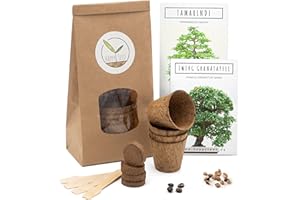 HAPPYSEED Bonsai Starter Kit - Bonzai set avec pots de noix de coco, graines et terre - idée de cadeau durable pour les amoureux des plantes (Grenadier Nain + Tamarin)