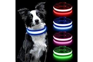 AUAUY świecąca obroża przez USB, regulowana obroża bezpieczeństwa z 3 trybami oświetlenia, świeci w ciemności, wodoodporna świecąca obroża LED dla małych i dużych psów (niebieska-M)