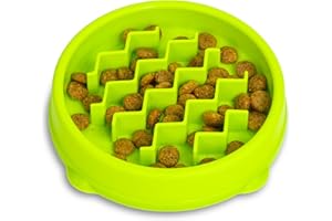CATSTAGES Petstages Kitty Slow Feeder - Ciotola anti ingozzamento per gatti - verde