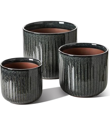 LE TAUCI 30 cm Potten voor Planten, Keramische Grote Bloempotten voor Binnen Planten, Binnen Plantenpotten voor Huis Tuin Patio Kantoor, Buiten Bloempotten met Afvoergaten en Rubberen Plug, Grijs LE TAUCI 30 cm Potten voor Planten, Keramische Grote Bloempotten voor Binnen Planten, Binnen Plantenpotten voor Huis Tuin Patio Kantoor, Buiten Bloempotten met Afvoergaten en Rubberen Plug, Grijs