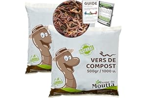 Moutta | 1 kg de vers de Compost | vers de Terre Vivants Eisenia, compostez Vos déchets organiques - pour lombricomposteur/composteur/Jardin/WormBox