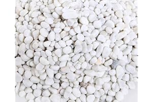 Ancokig Petits Galets Blancs Neige de qualité supérieure pour Pot de Fleurs, Gravier de Jardin, Pierres Naturelles pour décoration (1 kg)