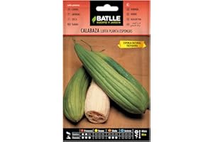 Semillas Batlle COURGE Eponge, Orange