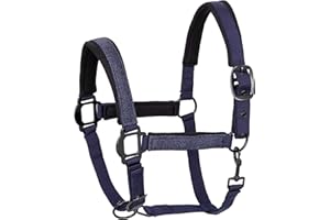 START ENJOY THE RIDE Start - Cavezza in neoprene per cavallo, sangue caldo, purosangue, cavezza per stalla, cavezza per pascolo, regolabile in 2 posizioni su sottogola e nuca, sicura e antistrappo, cavezza Cob (Cob