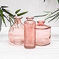 Vintage Design Embossed Clear Glass Bottles, Apothecary Flower Bud Vase With Cork Lid Set Of 2