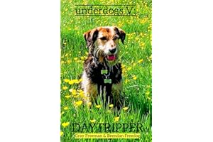 UNDERDOGS V: DAYTRIPPER