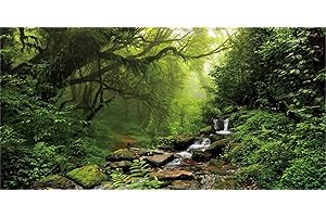MIRRORANG 180x61cm Tropical Rainforest Terrarium Background Waterfall Aquarium Background Lake Water Foggy Green Tree Reptile Habitat Background Durable Vinyl Background