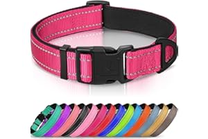 Joytale Collar Perro Reflectante,Nylon Collar Acolchado con Neopreno,Ajustable para Perros Pequeño,22-30cm,Rosa Caliente