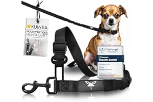 KUINEA® Hundegurt Auto - elastischer Sicherheitsgurt Hund mit Rückdämpfung - für alle Hunderassen&Autotypen - Anschnallgurt Hund Auto - Hunde Zubehör Auto, Hund anschnallen Auto, Hunde Autogurt robust