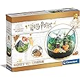 Clementoni Harry Potter-Terrarium, Set per ricreare l'ambientazione della capanna di Hagrid-Gioco educativo e scientifico Bam