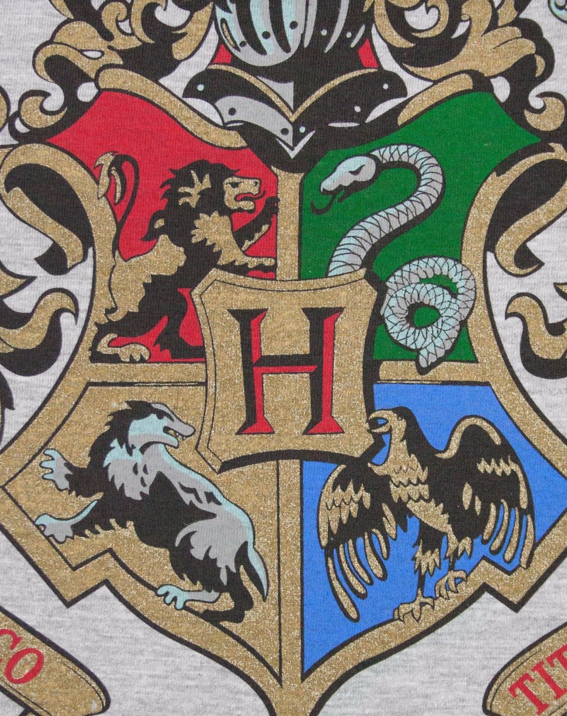 Hogwarts-Harry-Potter-Womens-Raglan-Top-L